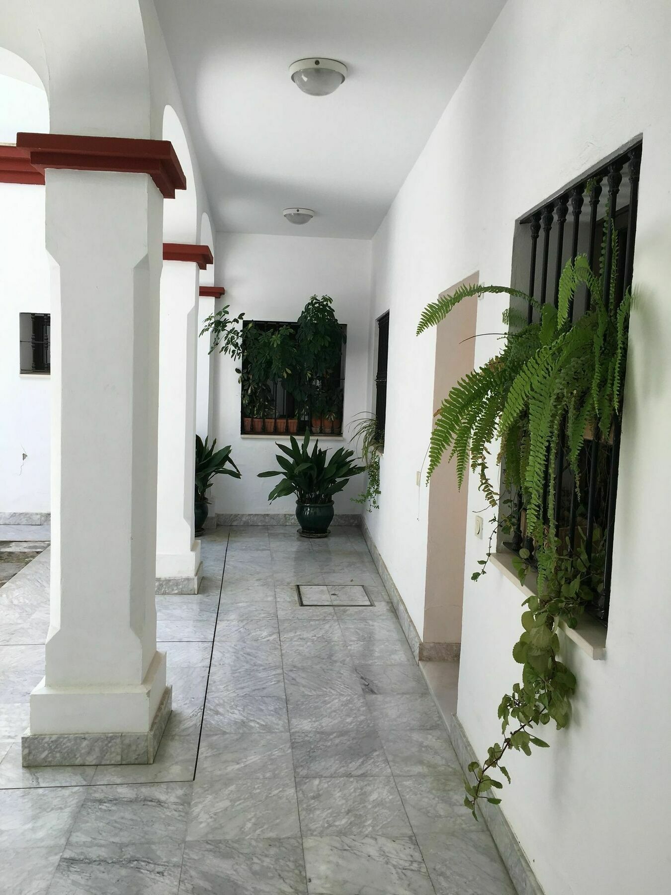 Teodosio Apartment Free Parking & Central Ac Sevilla Dış mekan fotoğraf